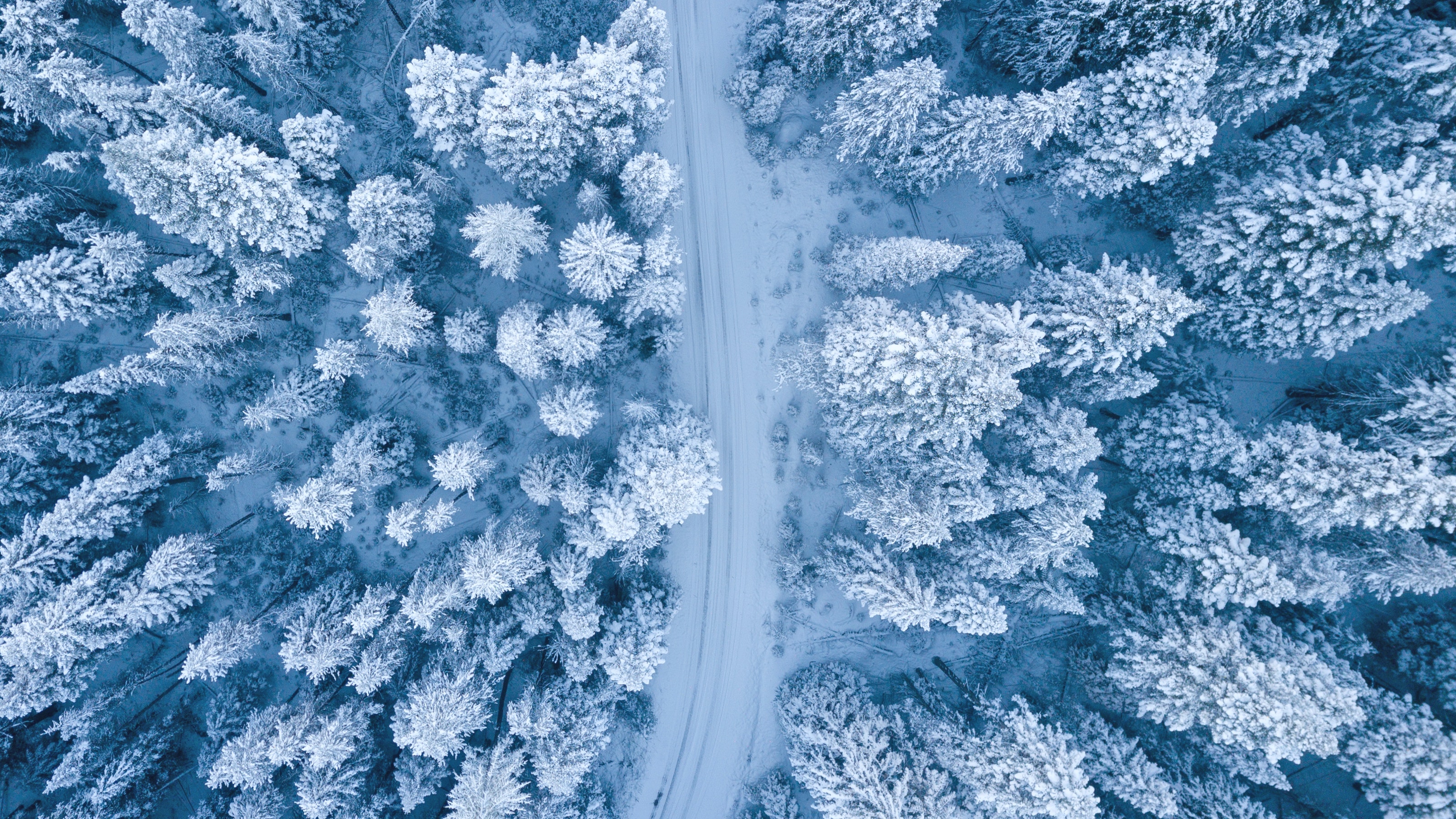 Photo by Ruvim Miksanskiy: https://www.pexels.com/photo/aerial-photography-of-snow-covered-trees-1438761/